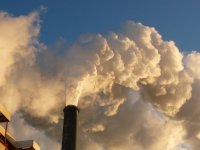 Choose this topic to learn more about how trees can help help improve the quality of air in an urban area. AIR POLLUTION