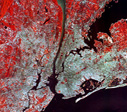This link will help you choose the best tool for collecting and analyzing information on the urban tree canopy in your community or region. NewYorkCity landsat