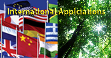 tree canopy international 2