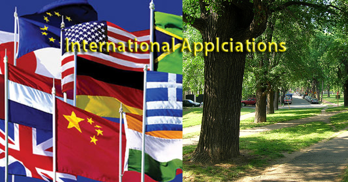 street tree international