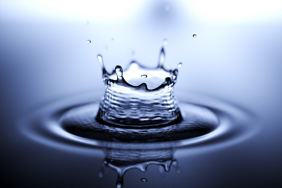 Choose this topic area to learn more about how trees reduce water runoff and provide benefits to urban watersheds. water