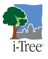 i-Tree Logo