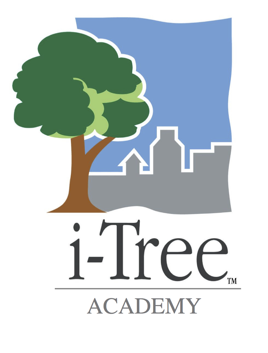 itree academy logo 2