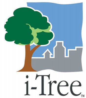 itree logo copy