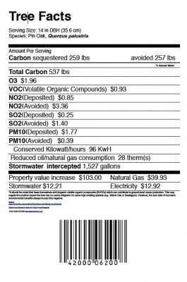 picture of tree nutrition label