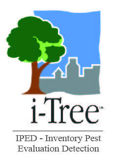 i-Tree IPED Logo