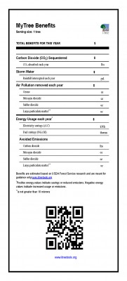 MyTree Report Template