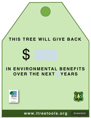 Screen Shot 2019-04-09 at 3.06.21 PM