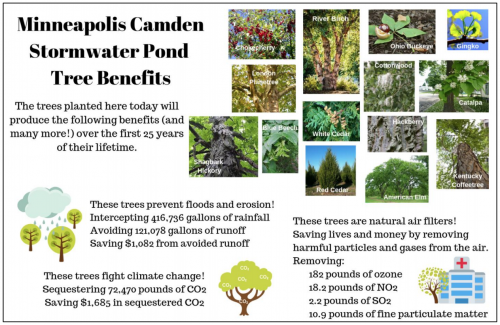 Screen Shot 2019-07-09 at 3.33.47 PM