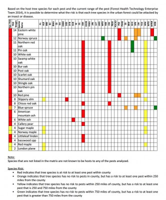 Screen Shot 2019-07-26 at 9.42.59 AM