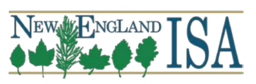 Screen Shot 2019-10-02 at 5.30.57 PM